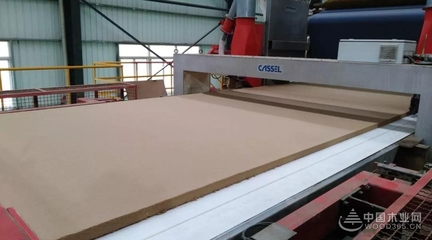 豐林木業(yè)18萬(wàn)m/a中纖板首板順利下線!