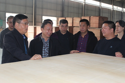 市林業局赴貴港、柳州等地開展木材精深加工考察及招商引資活動