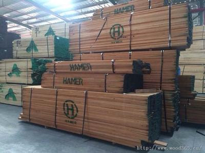 福州大樹木業 -中國木業網