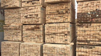 創秋木業資訊 我國林產工業30年大發展 木質家居產品出口躍居世界第一