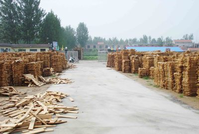 LQL木業(yè)：優(yōu)質(zhì)木材產(chǎn)品的專(zhuān)業(yè)選擇